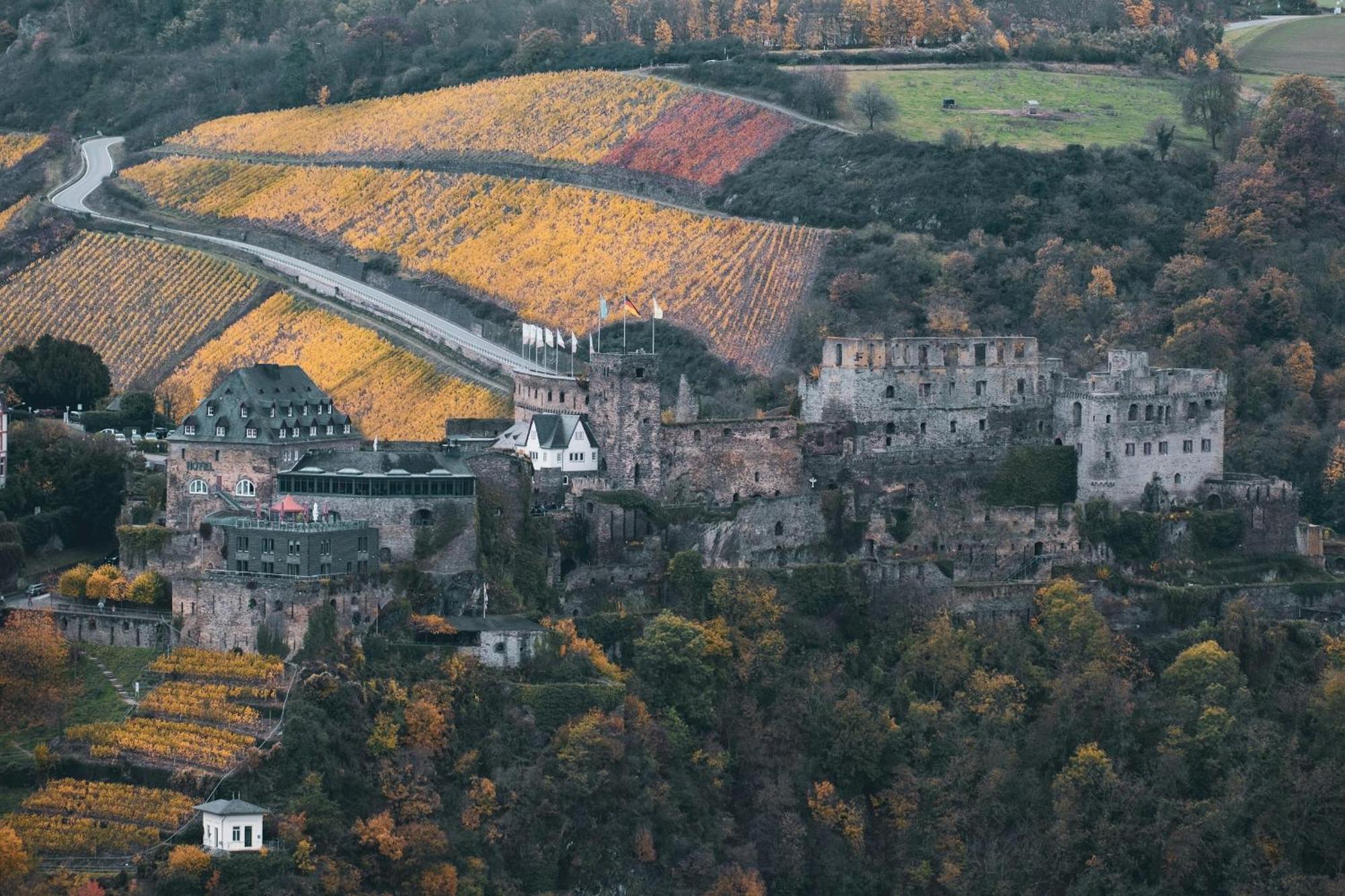 Hotel Zur Loreley - Garni Sankt Goar Εξωτερικό φωτογραφία